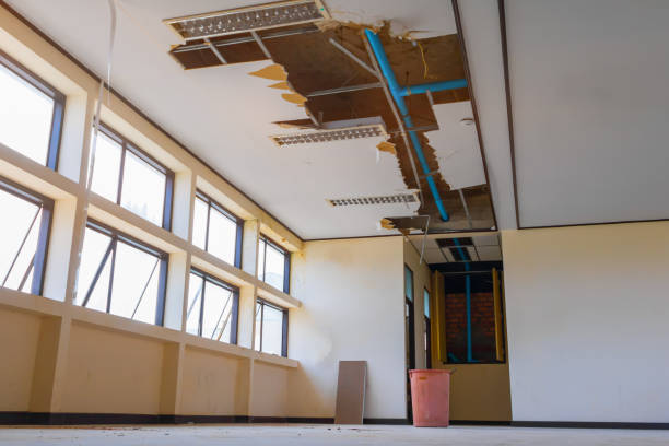 Best Water damage restoration services  in Mifflinburg, PA