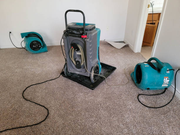 Best 24-hour water damage restoration  in Mifflinburg, PA