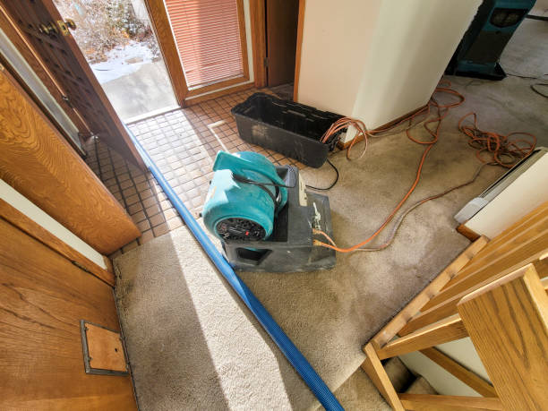 Best Carpet water damage restoration  in Mifflinburg, PA