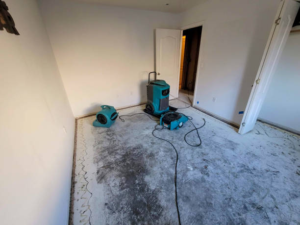 Water damage restoration mold remediation in Mifflinburg, PA