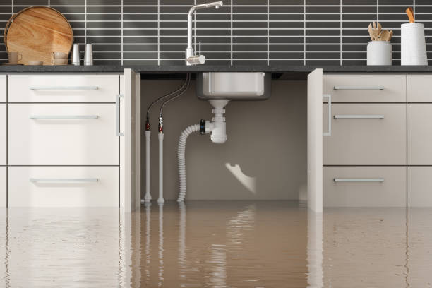 Best Mold removal after water damage  in Mifflinburg, PA